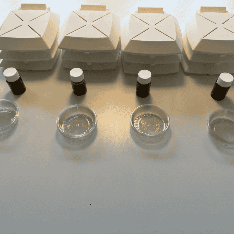 12 sæt skægkræ fælder